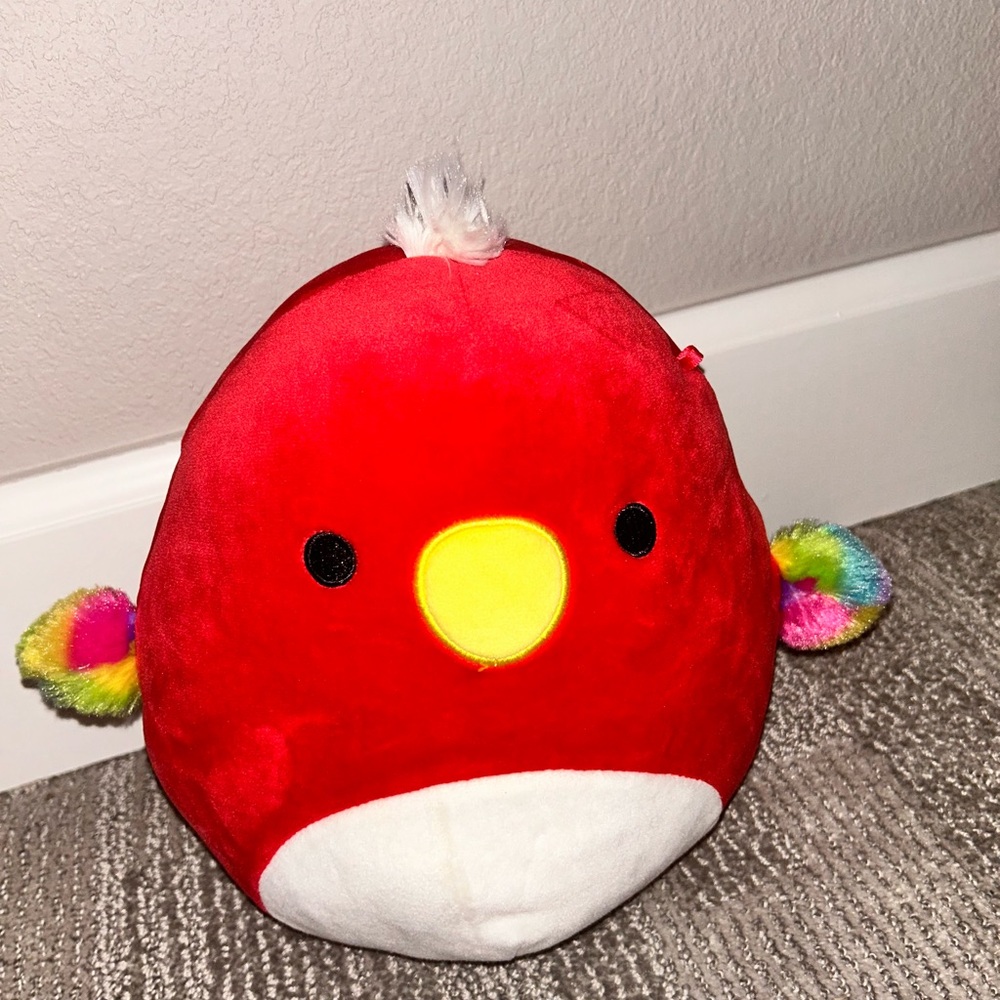Squishmallow Paco the Parrot 8” NWOT
